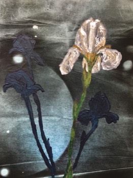 Iris in Moonlight